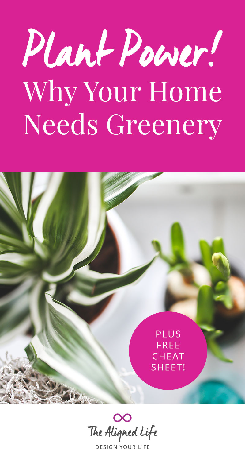 Plant Power! Why Your Home Needs Greenery - Plus Free Cheatsheet! - The Aligned Life