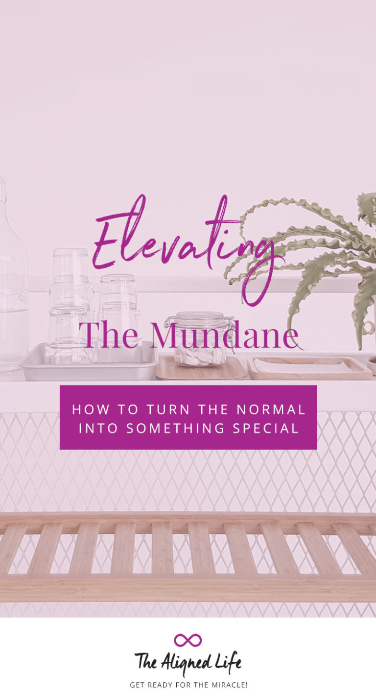 Elevating The Mundane