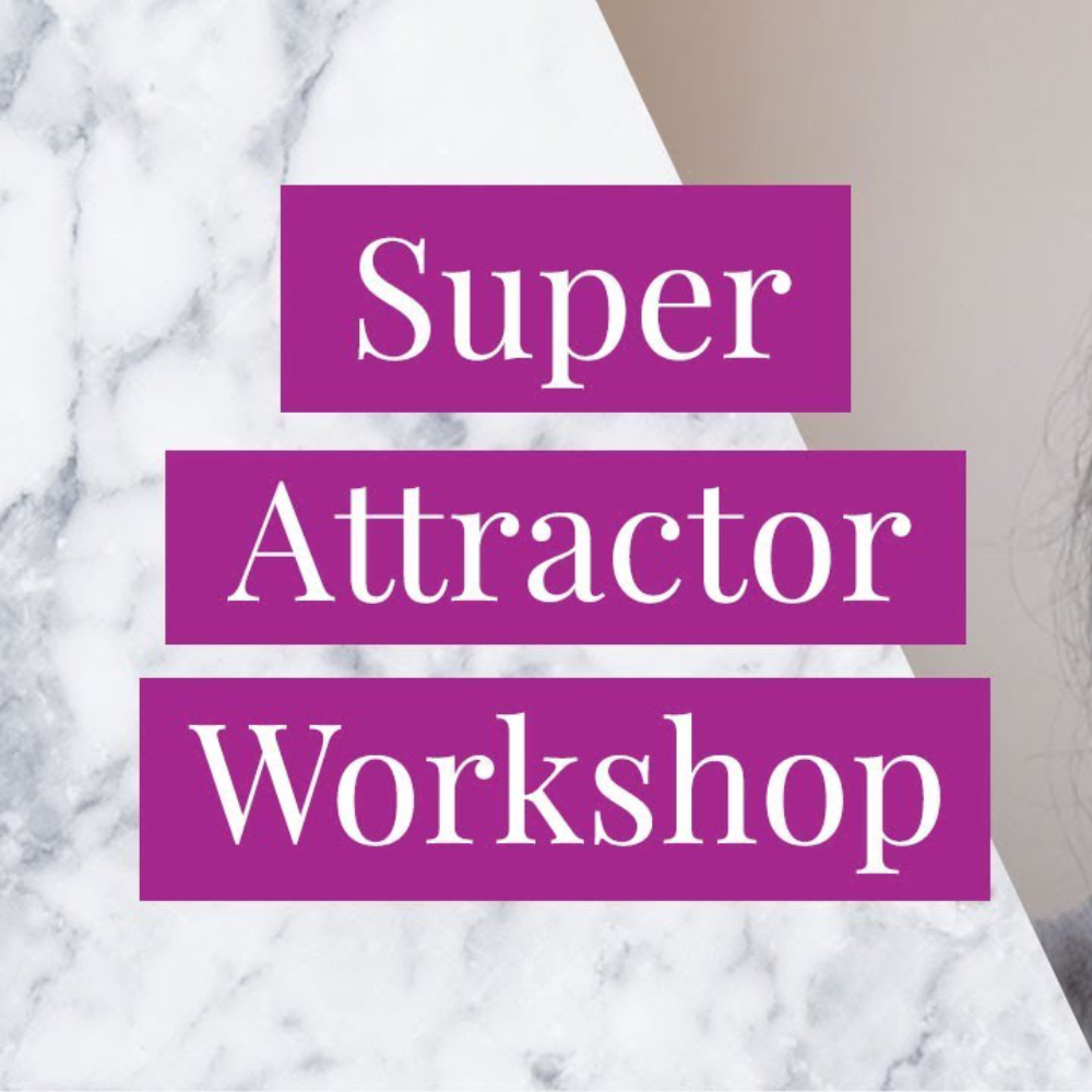 The Super Attractor Workshop