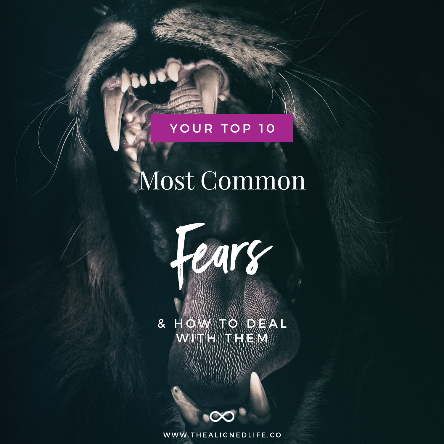 Your 10 Most Common Fears & How To Deal With Them
