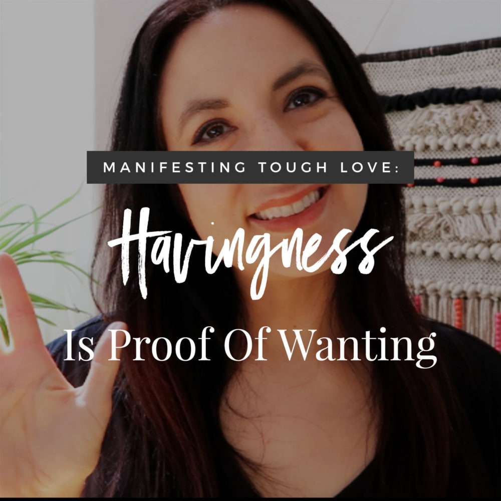 Havingness Is Proof Of  Wanting