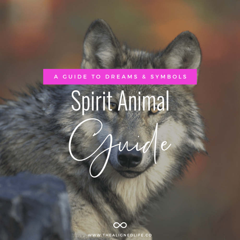 Spirit Animals: A Guide To Dreams & Symbols