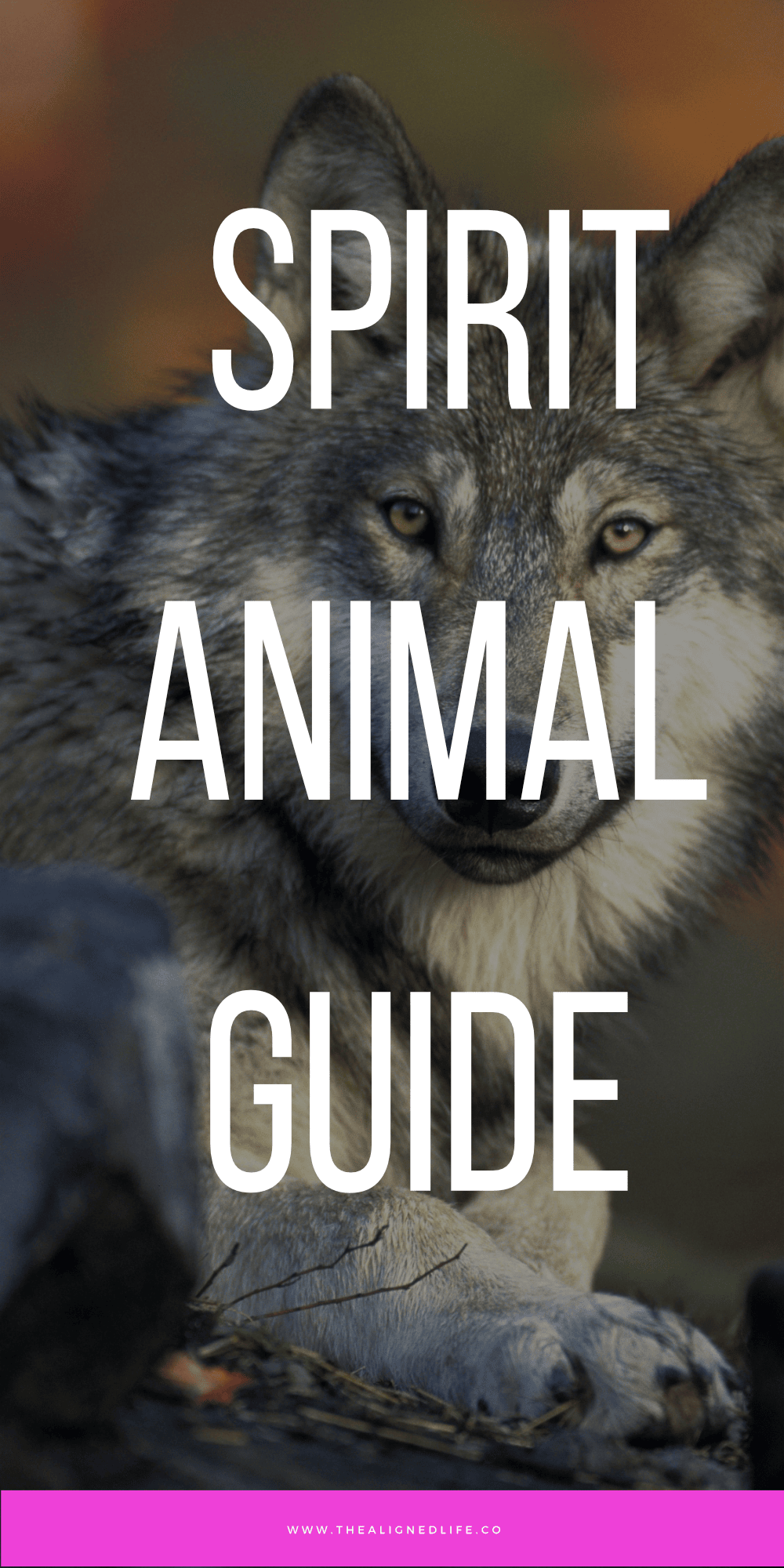 Spirit Animals: A Guide To Dreams & Symbols