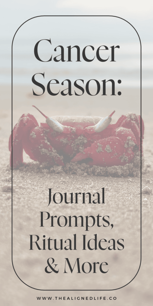 a red crab on a beach | Your Guide To Cancer Season | The Aligned Life Manifestation + Spirituality Blog