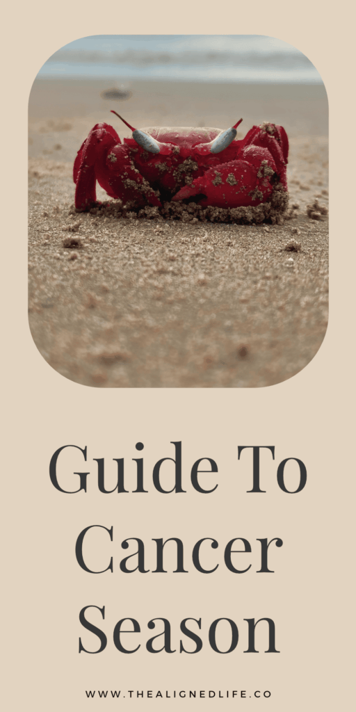 a red crab on a beach | Your Guide To Cancer Season | The Aligned Life Manifestation + Spirituality Blog