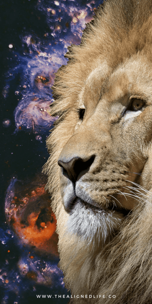 a lions head in front of starry sky | How To Manifest With The Lions Gate Portal | The Aligned Life Manifestation Blog