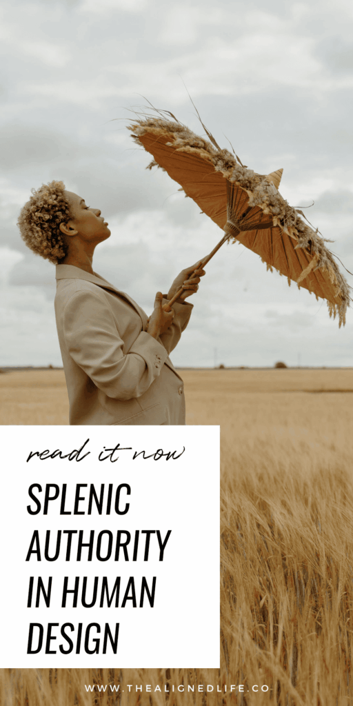 woman in a wheat field with an umbrella | Splenic Authority In Human Design Explained