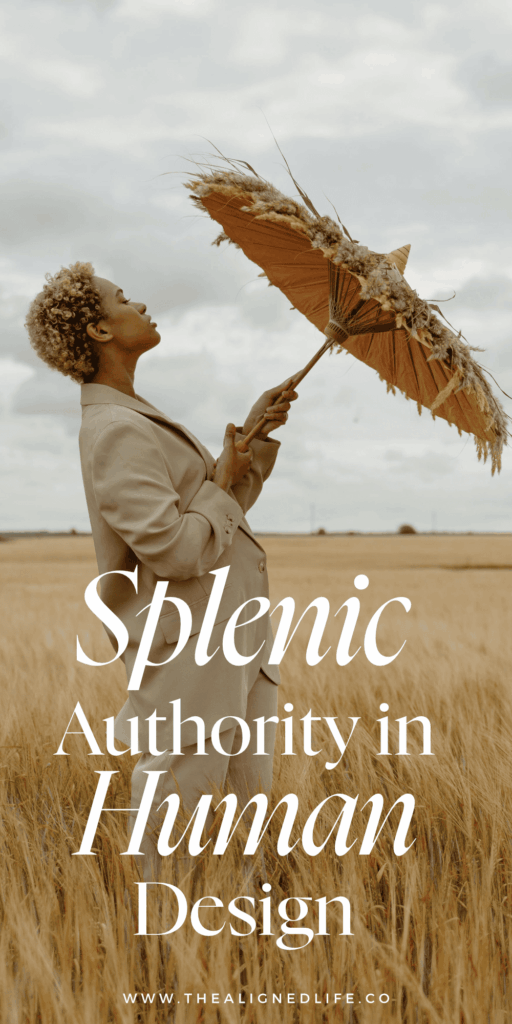 woman in a wheat field with an umbrella | Splenic Authority In Human Design Explained