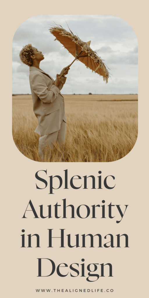 woman in a wheat field with an umbrella | Splenic Authority In Human Design Explained
