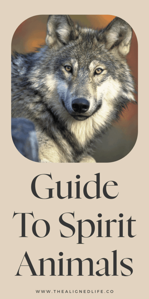 wolf | Spirit Animals: A Guide To Dreams & Symbols | The Aligned Life Manifestation Blog