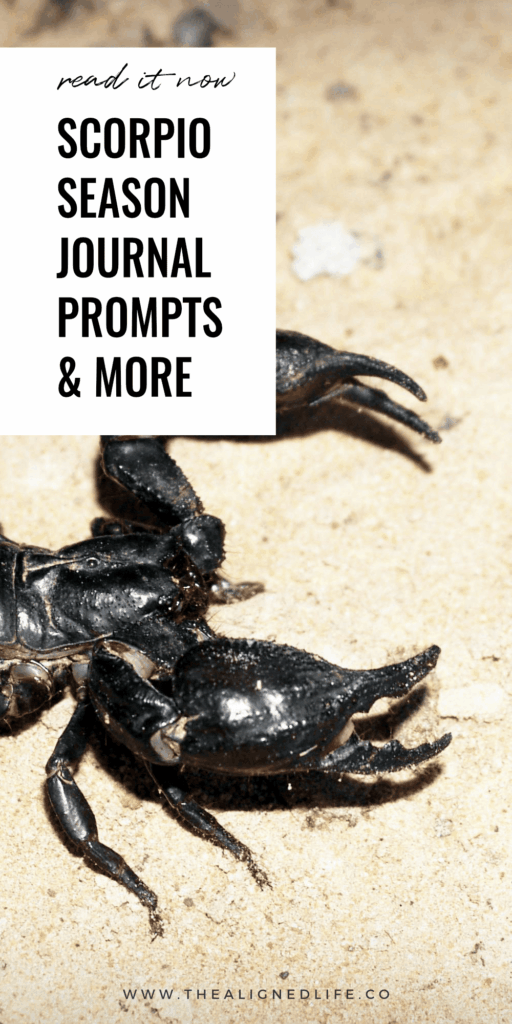 black scorpion on the beach flash photo with text Scorpio Season Journal Prompts, Ritual Ideas & More