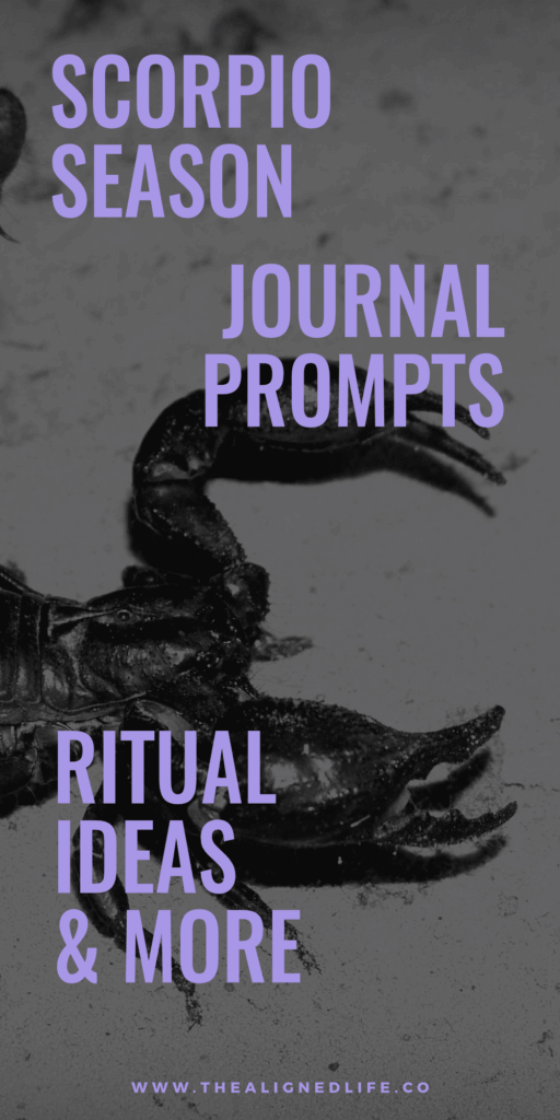black scorpion on the beach flash photo with text Scorpio Season Journal Prompts, Ritual Ideas & More