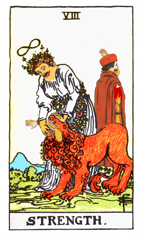 Strength Tarot Card Meaning & Guide