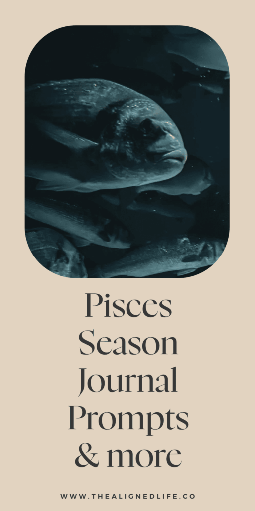 fish swimming in dark water | Pisces Season Report: Journal Prompts, Ritual Ideas & More | The Aligned Life Manifestation Blog
