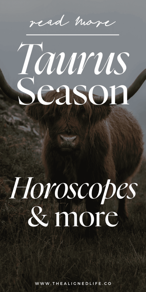 a bull stands on a foggy pathway | Taurus Season Report: Journal Prompts, Ritual Ideas, Affirmations + More | The Aligned Life Manifestation + Spirituality Blog