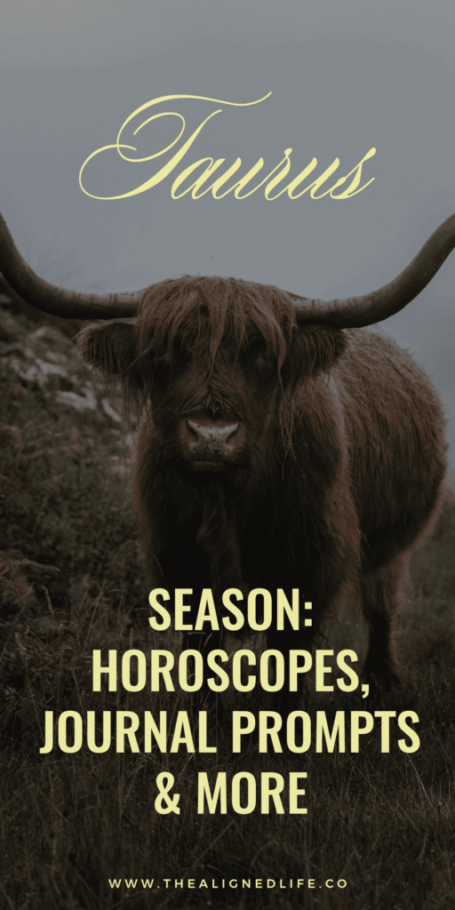 a bull stands on a foggy pathway | Taurus Season Report: Journal Prompts, Ritual Ideas, Affirmations + More | The Aligned Life Manifestation + Spirituality Blog