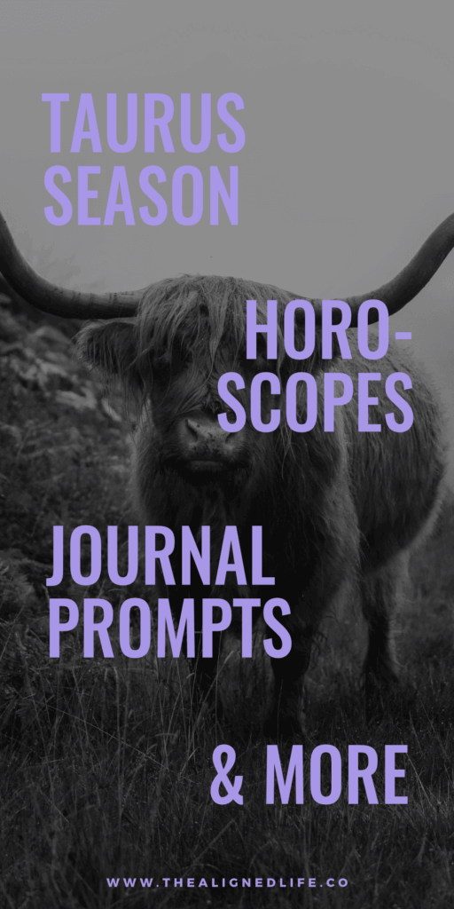 a bull stands on a foggy pathway | Taurus Season Report: Journal Prompts, Ritual Ideas, Affirmations + More | The Aligned Life Manifestation + Spirituality Blog